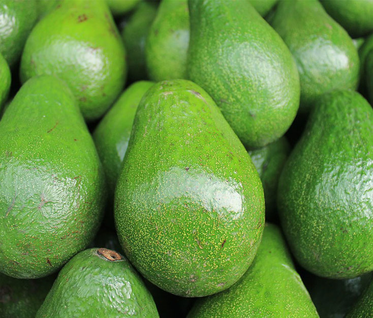 Green-avocado